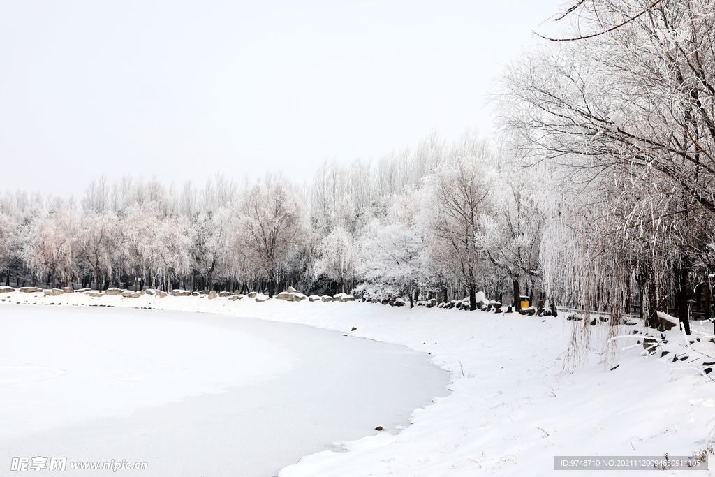 雪景