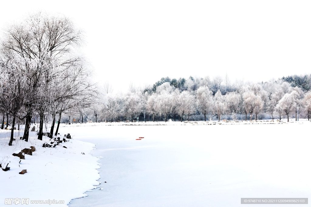 雪景