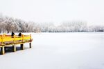 雪景