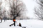 雪景