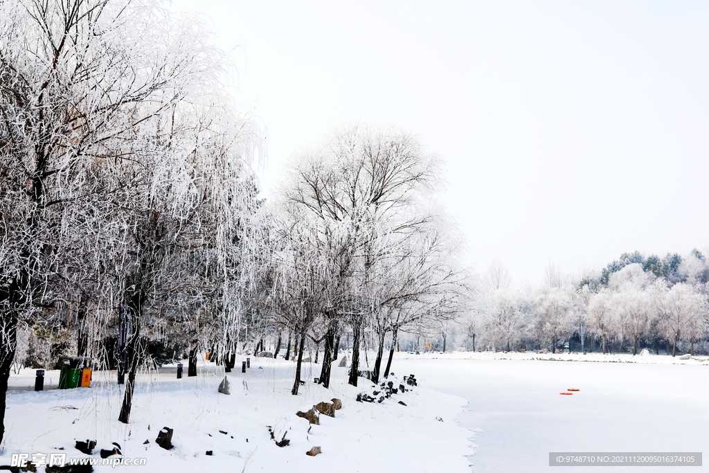 雪景