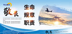 民航文化