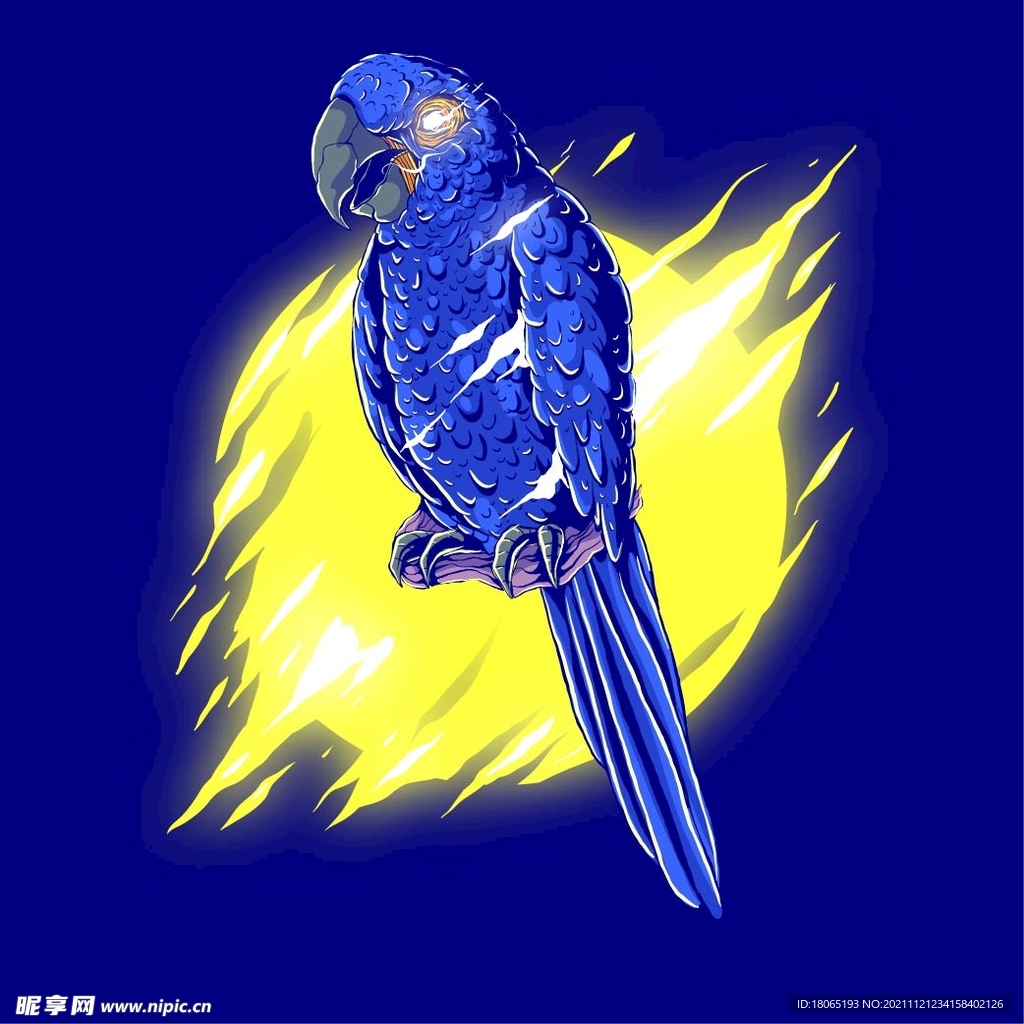 插画设计素材