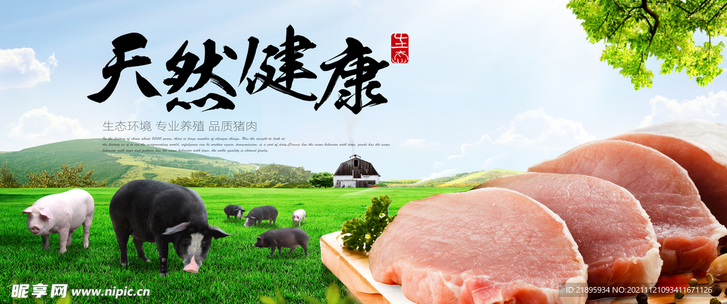 新鲜猪肉
