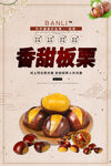 白色简约时尚板栗美食海报