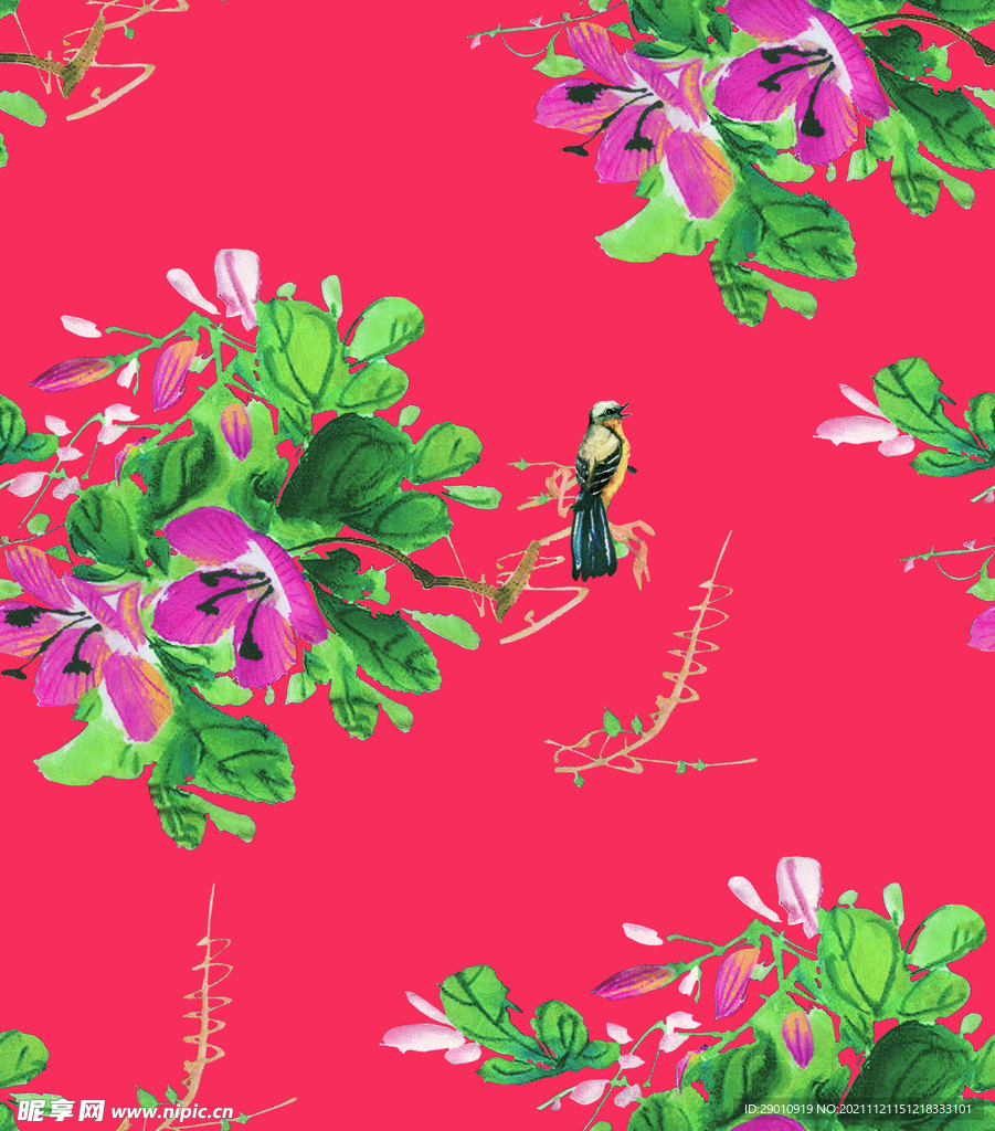 花鸟