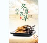 冬虫夏草 