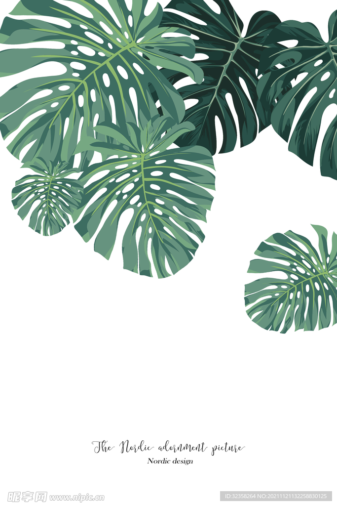 叶子植物挂画