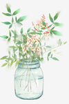 小清新水彩植物花瓶北欧装饰画