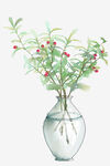 现代简约小清新水彩植物花瓶北欧