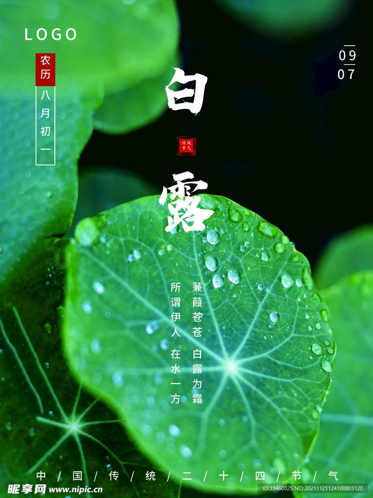 白露