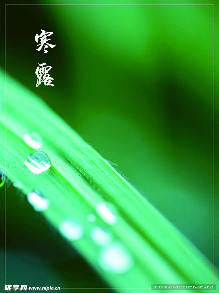 寒露