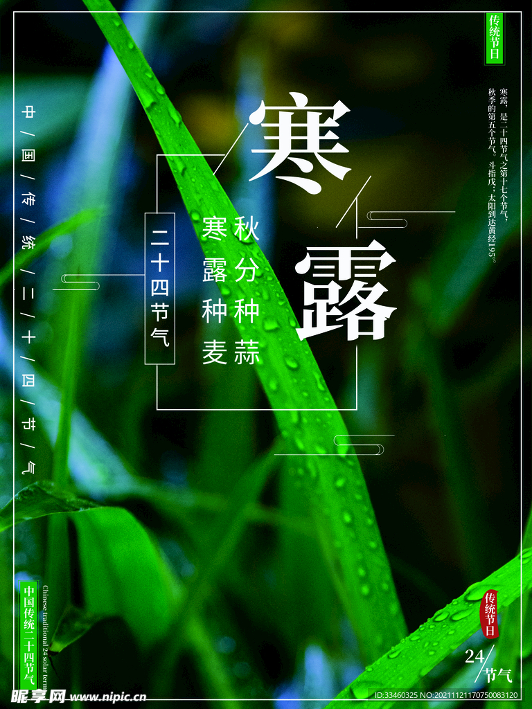 寒露