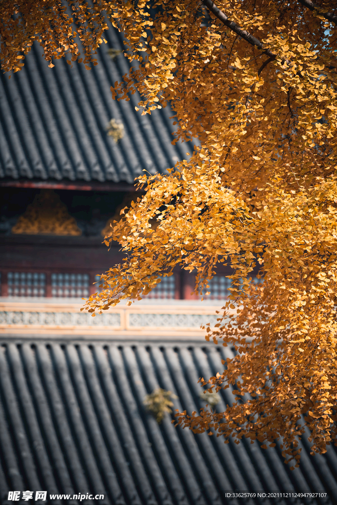 秋天
