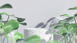 清新植物展台