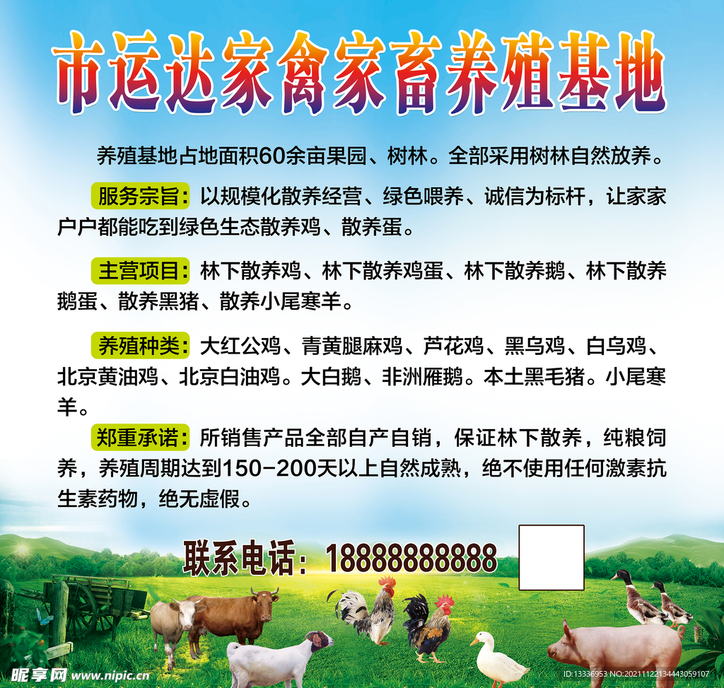 家禽家畜养殖基地