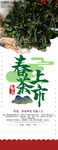 茶              