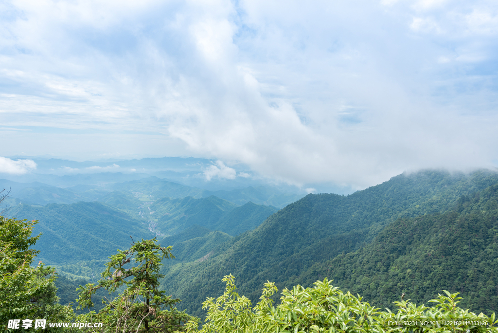 西天目山风光