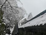 雪景