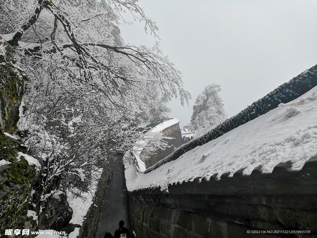 雪景