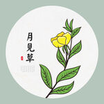 手绘月见草