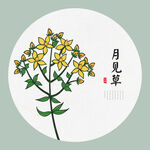 月见草手绘