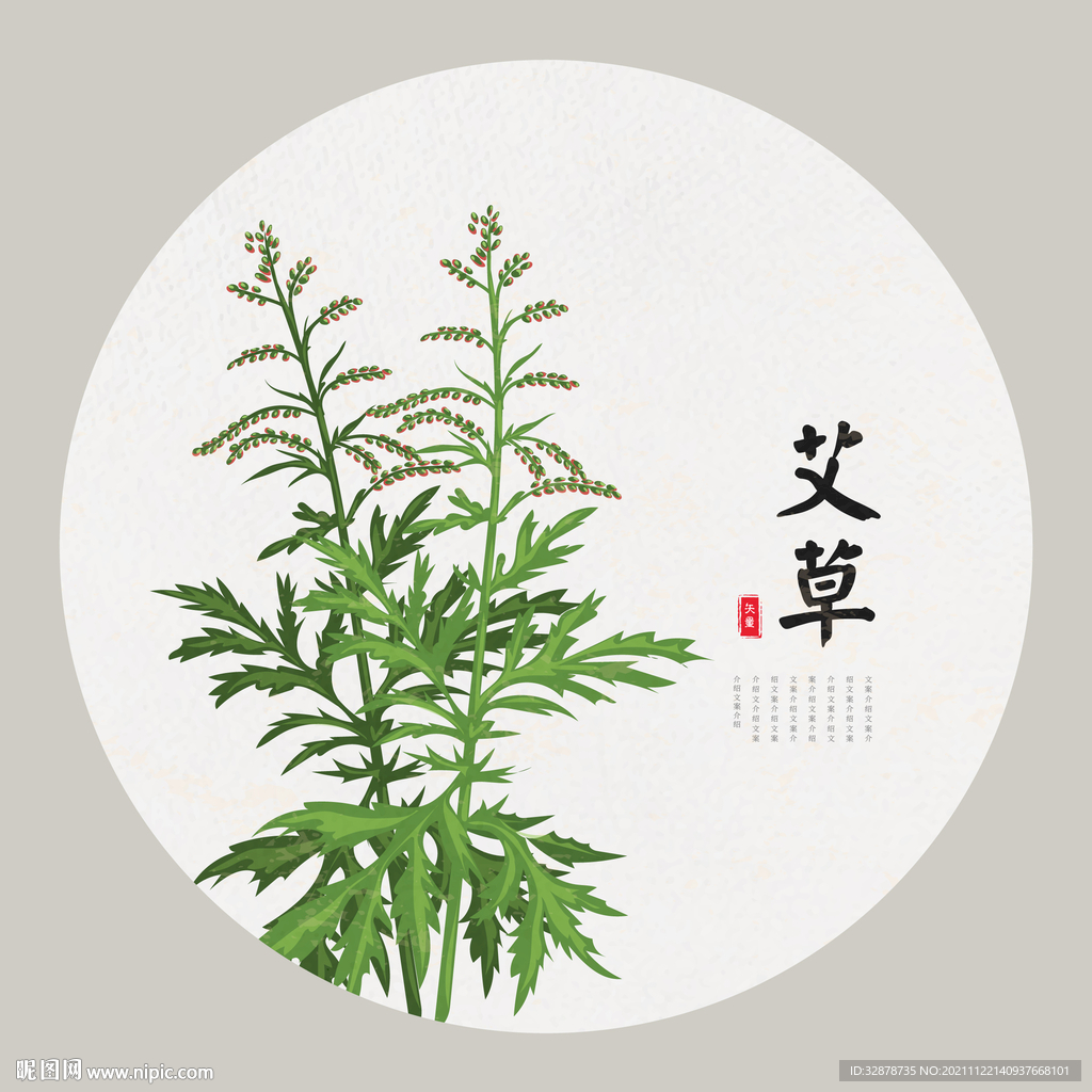 艾草手绘