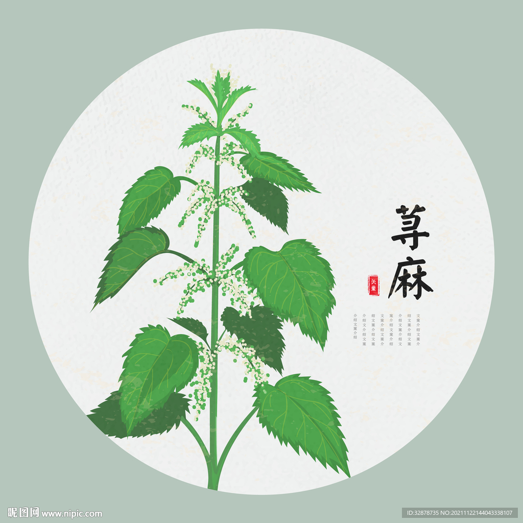 荨麻手绘