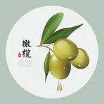 橄榄手绘