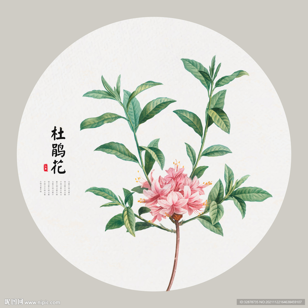 杜鹃花手绘