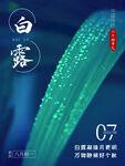 白露