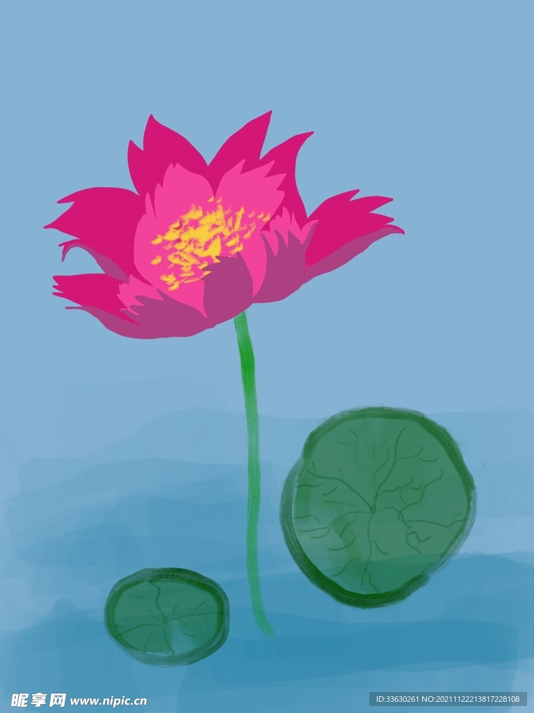 莲花