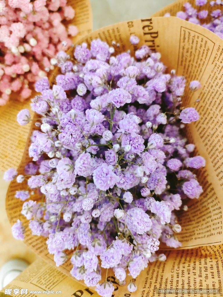 满天星  紫色 花朵 花束