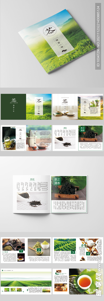 茶画册 