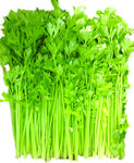 香芹