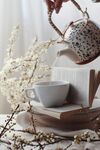 茶