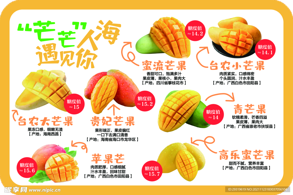 芒果介绍