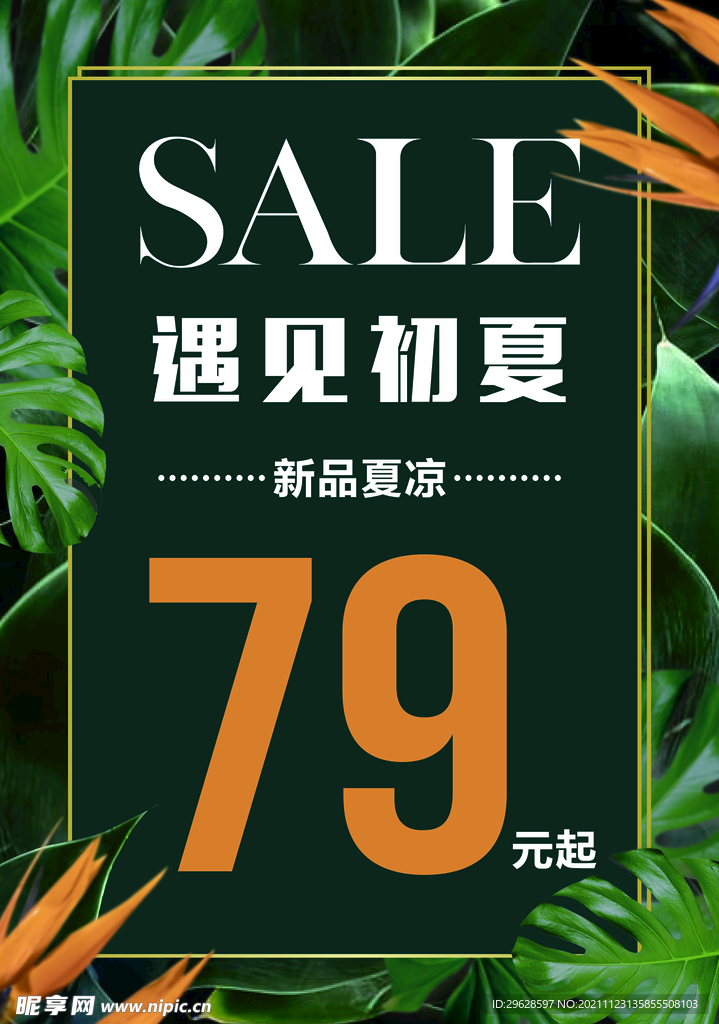 遇见初夏