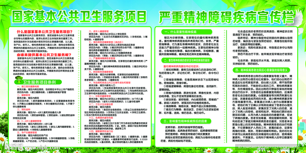 国家基本公共卫生服务 严重精神