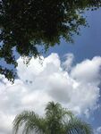 天空