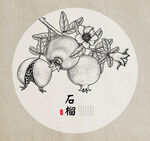 石榴手绘素描线稿