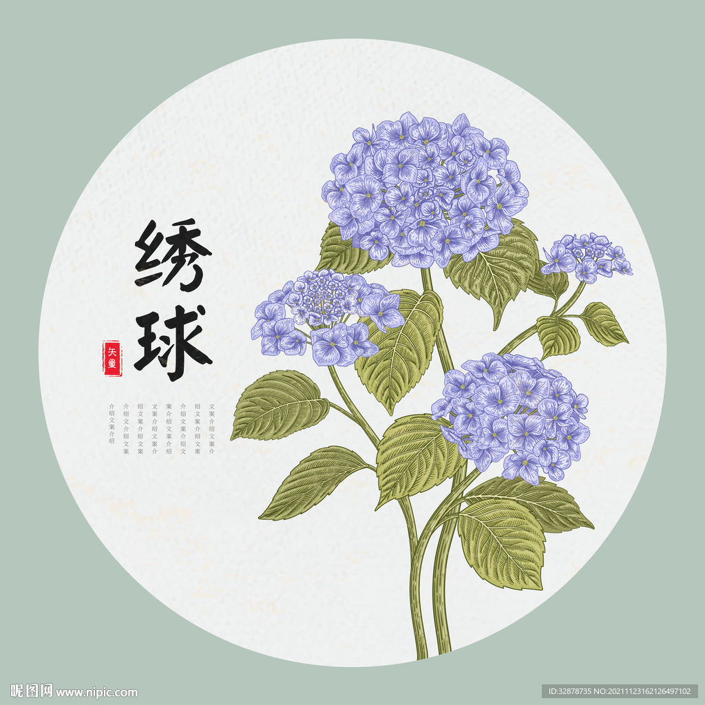 绣球花