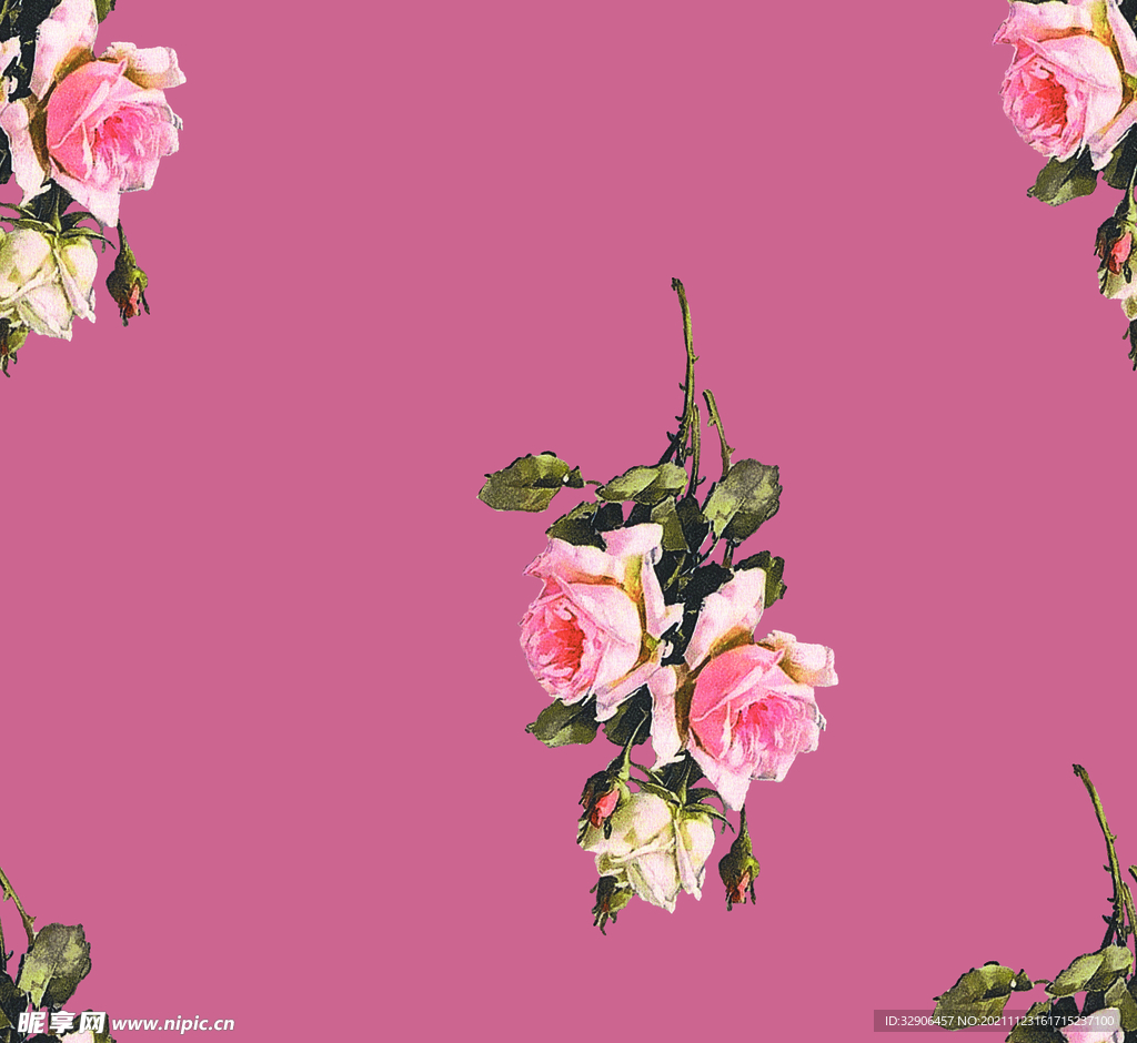 玫瑰花