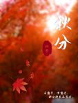 秋分