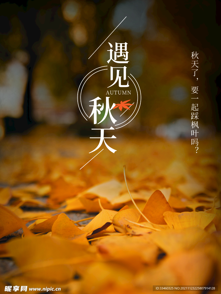 遇见秋天