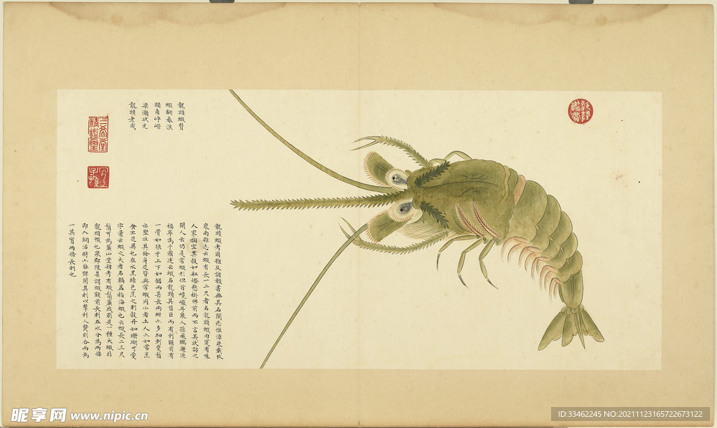 山溪虾图