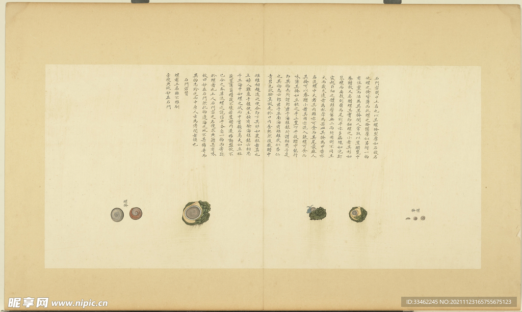 山溪群虾