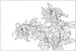 传统插画手绘