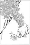 花底图