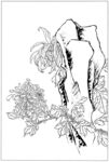 插画手绘植物